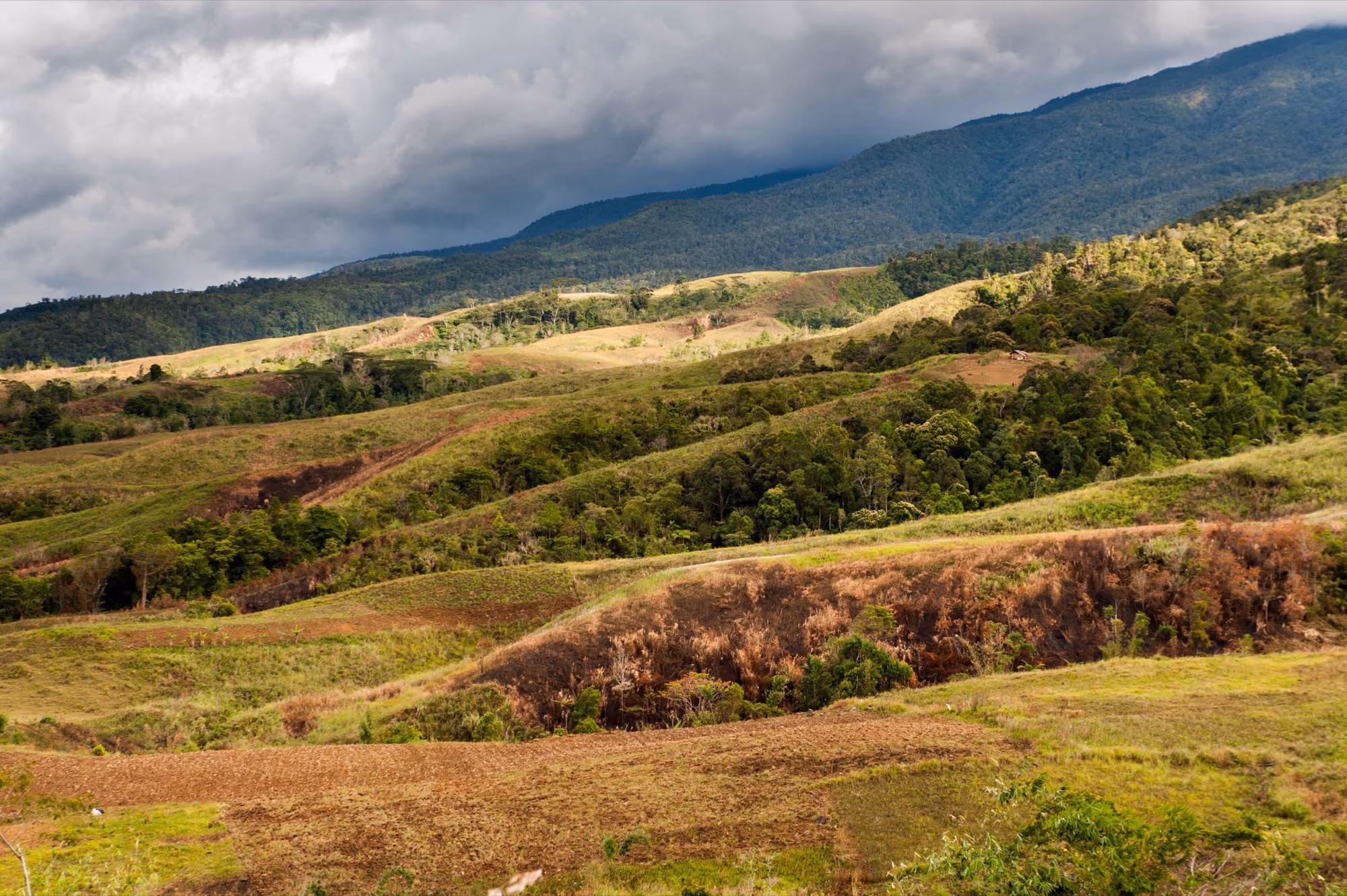 Rolling green and golden grass hills in Sumilao, Bukidnon, with a mountain range under a cloudy sky.