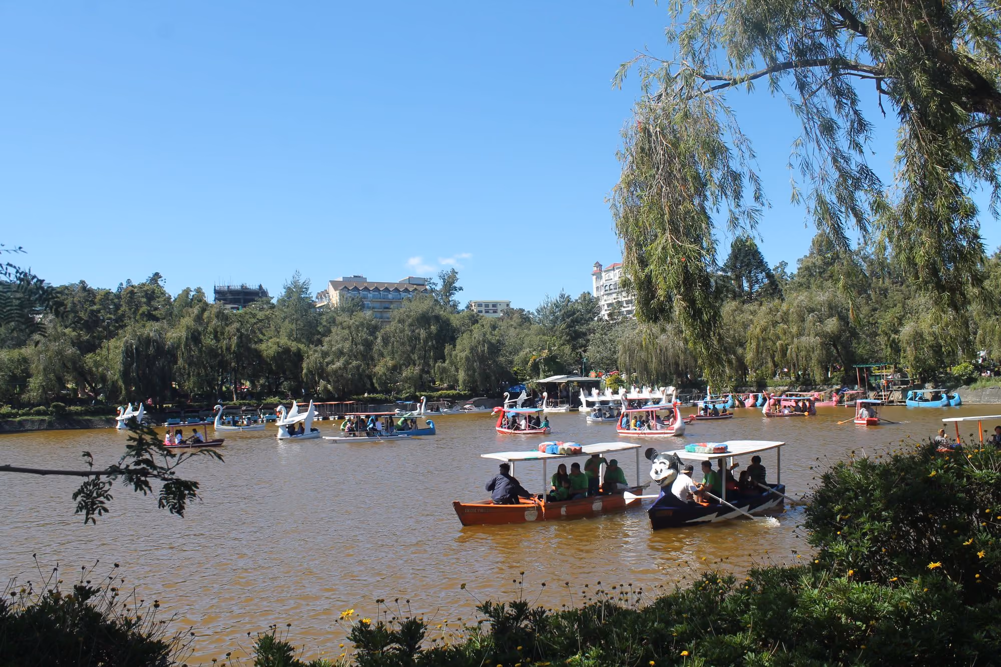 Swan boats and rowing boats on Burnham Lake in Baguio under a clear blue sky, with willow trees and hotels on the far bank.