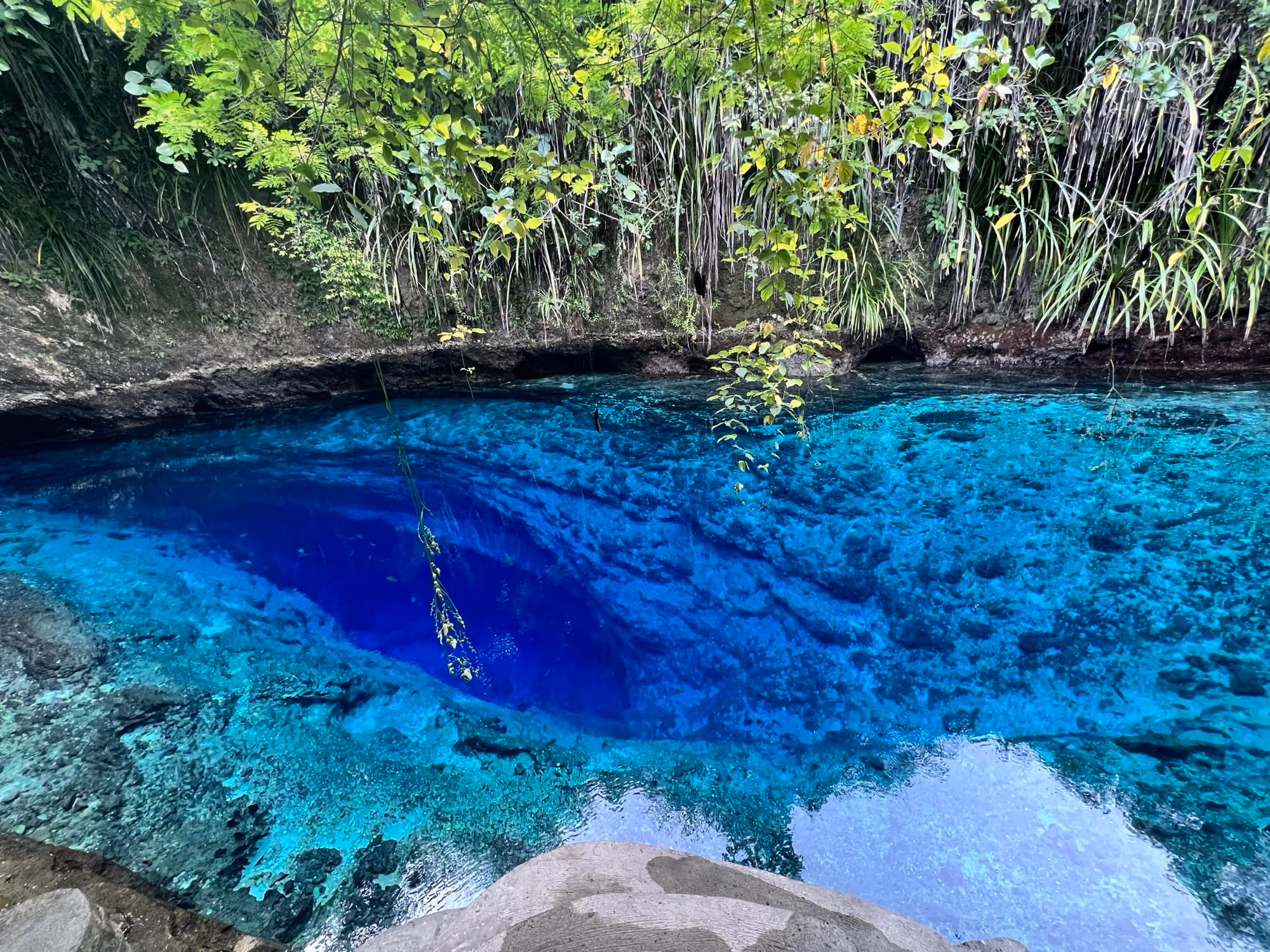 The deep blue pool of the Enchanted River in Hinatuan, with turquoise shallows and jungle growing above it.