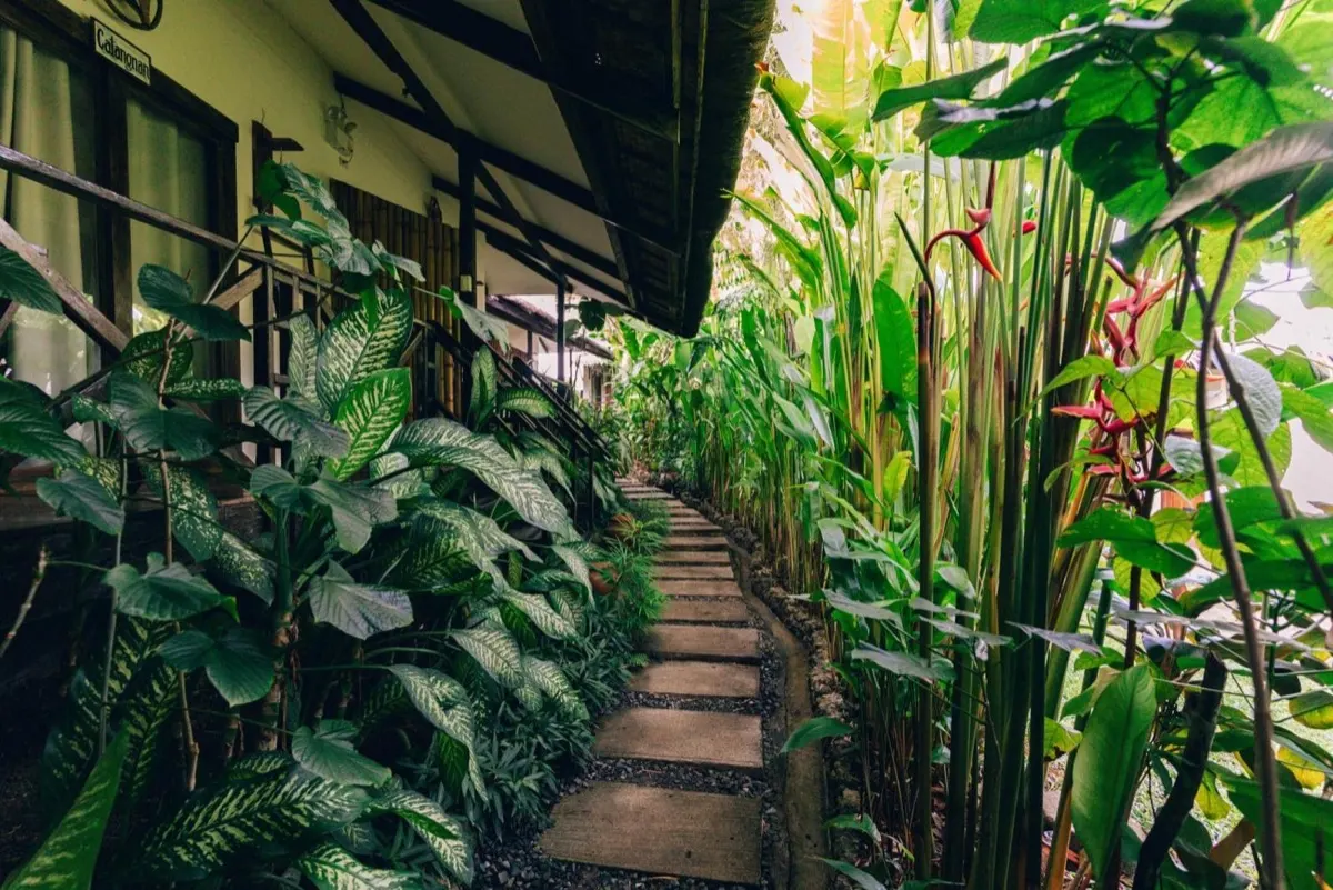 Himaya Siargao, Siargao.