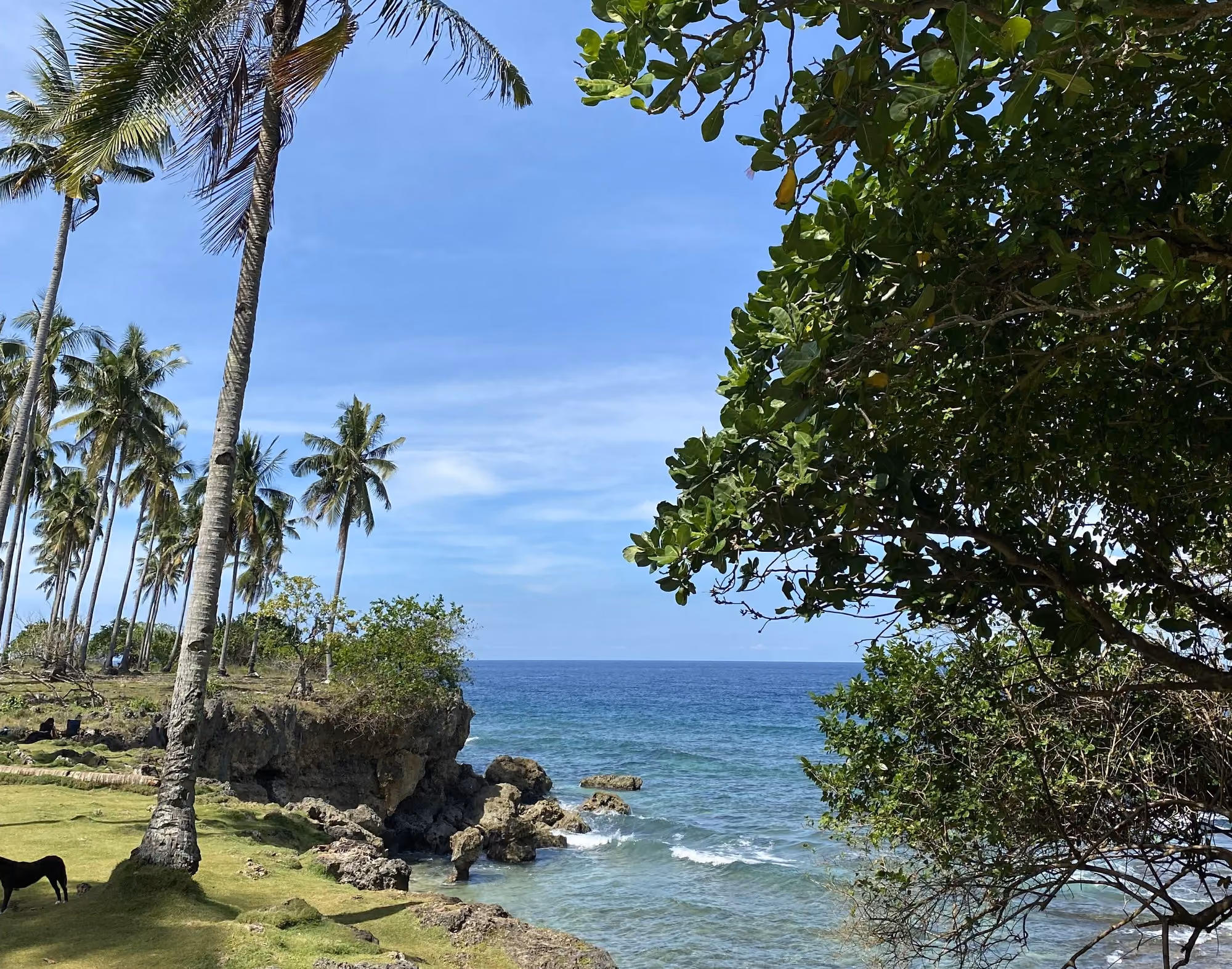 Illustrative photo of a rocky shore with coconut palms and a clear blue sea at Liloy, Zamboanga del Norte.