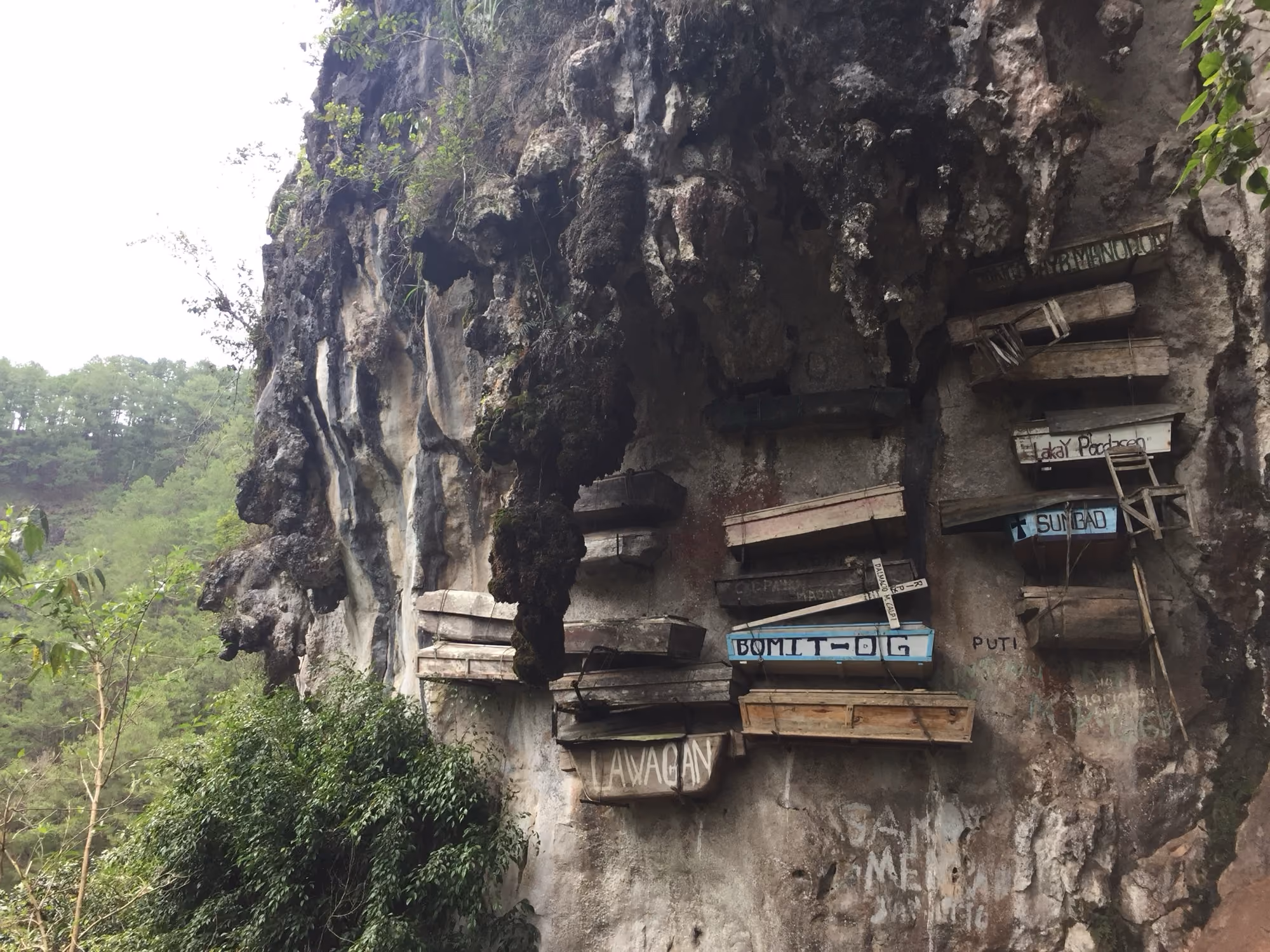 Wooden hanging coffins fixed to a limestone cliff face in Sagada, Mountain Province.