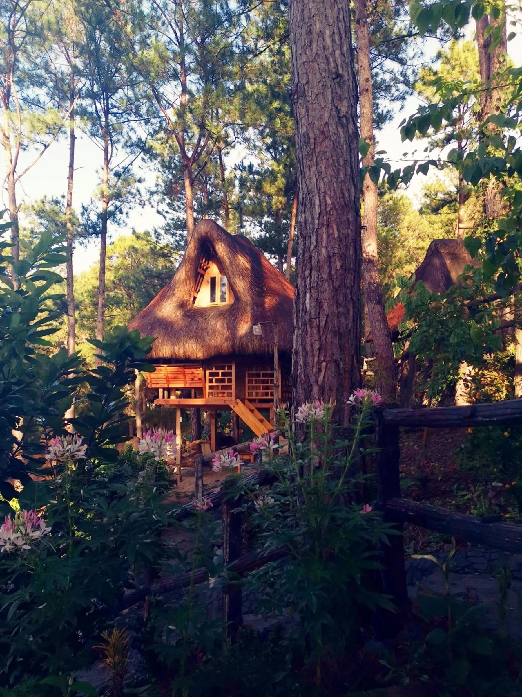 Sagada Heritage Village, Sagada, Mountain Province