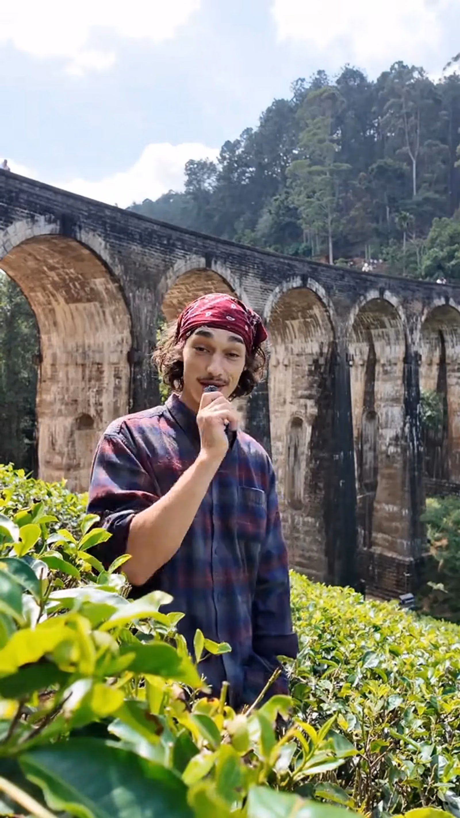 Robert in a checked shirt and red bandana among tea bushes, with a stone arched railway bridge behind him.